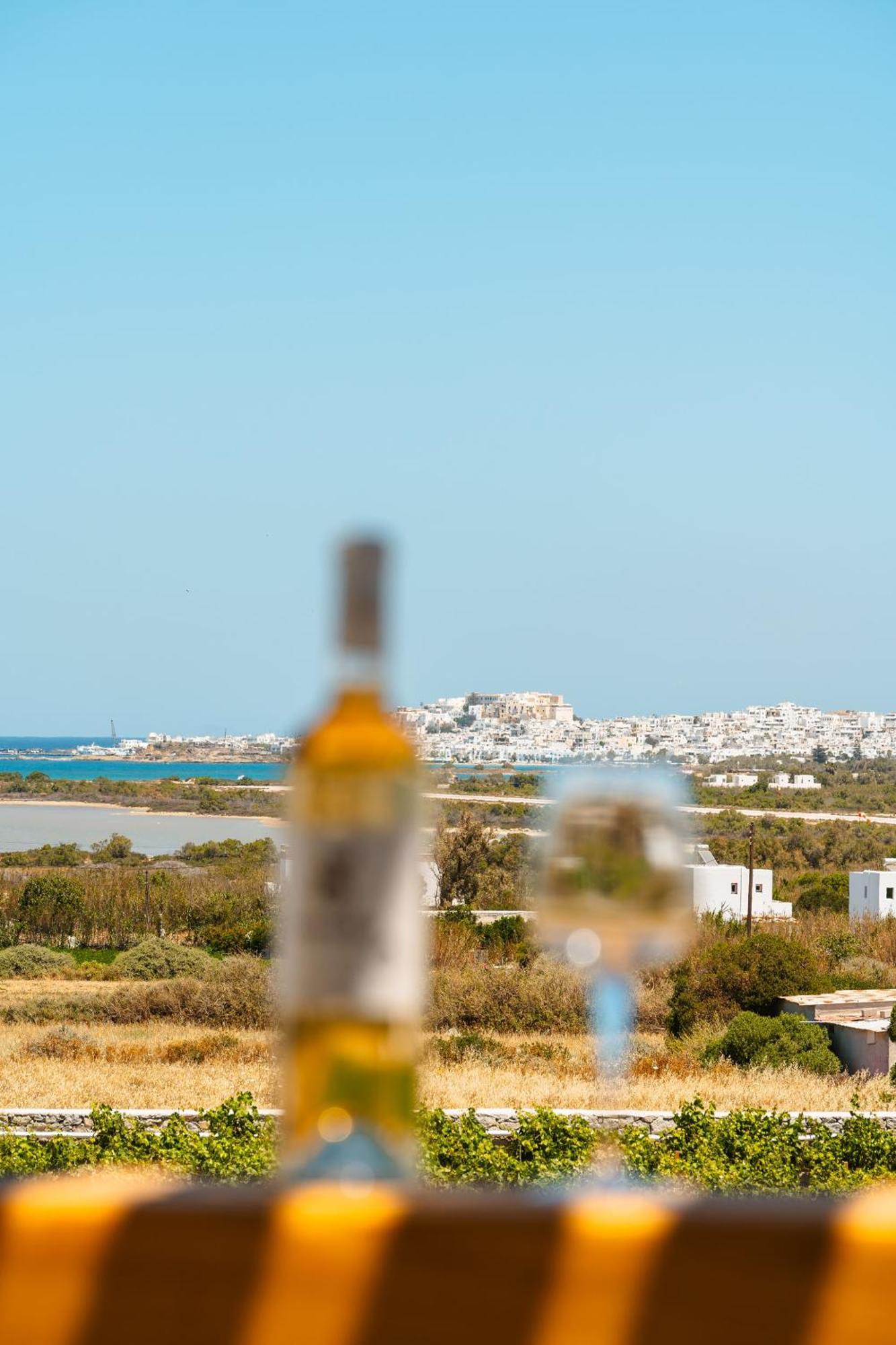 Sunday Luxury Suites Agia Anna (Naxos) Exterior foto