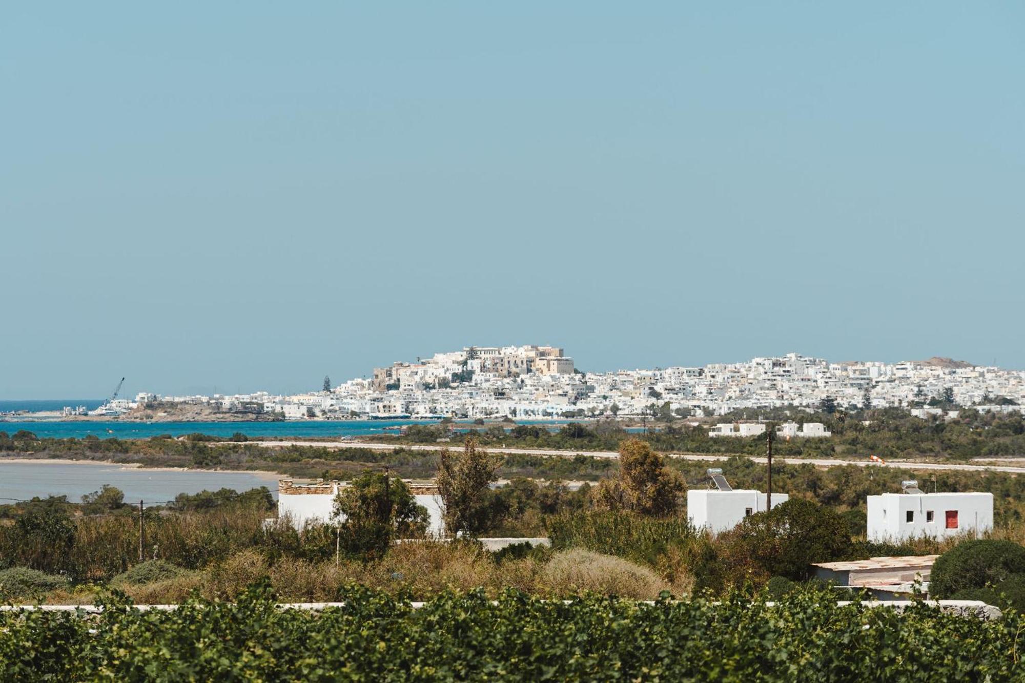 Sunday Luxury Suites Agia Anna (Naxos) Exterior foto